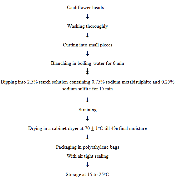 11-10-2-drying-of-fruits